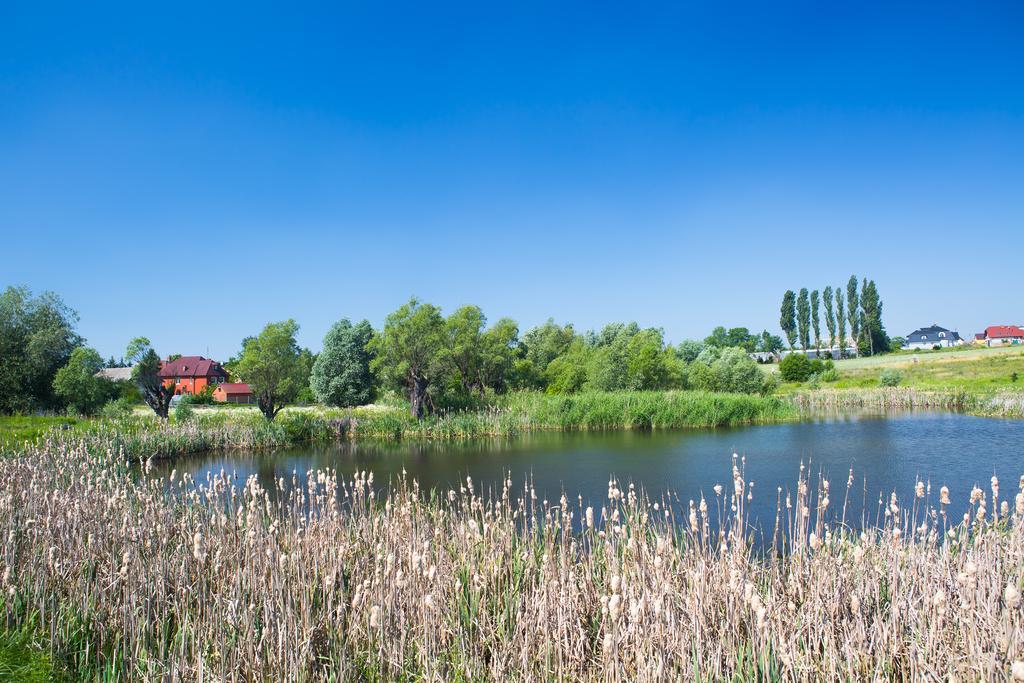 Zloty Staw Bed and Breakfast Borkowo  Buitenkant foto